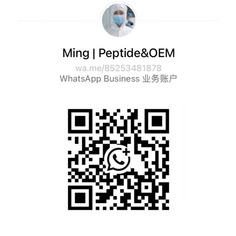 WhatsApp QR Code